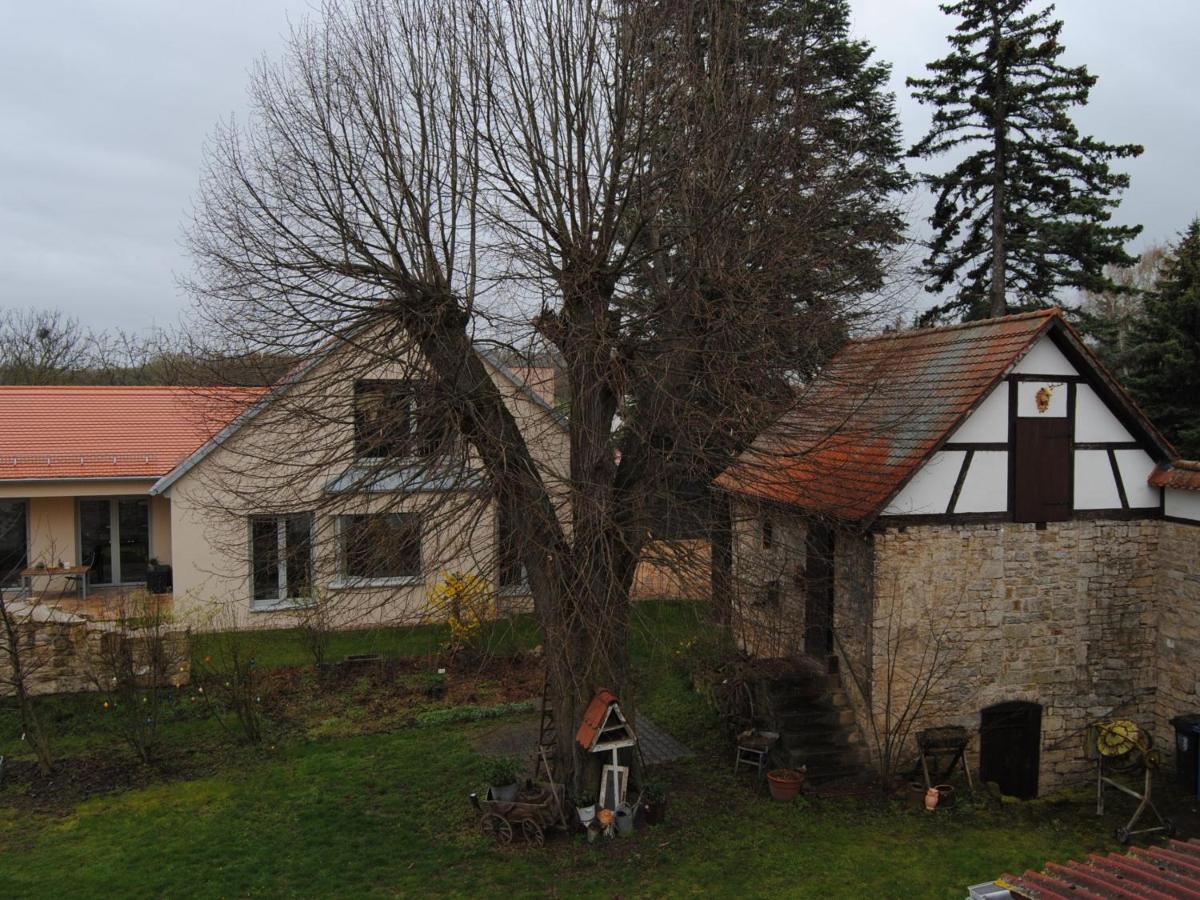 Ferienhaus Lindenhof Nohra  エクステリア 写真